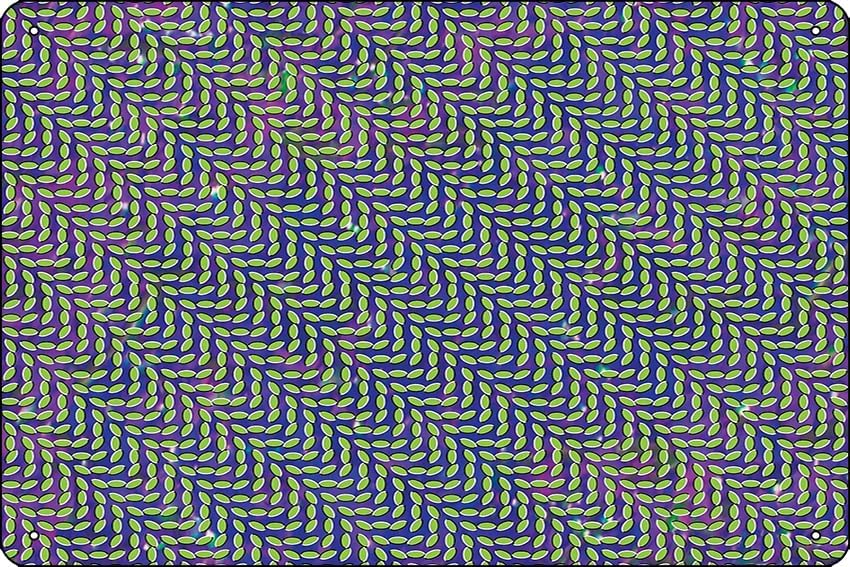 Animal Collective - Merriweath - огляд і ціна Home Office X Post